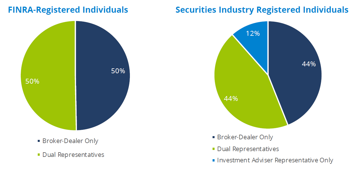 Registered Individuals by Type of Registration 2022