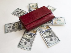 wallet and money