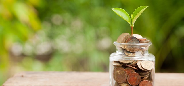 Plant Growing In Savings Coins