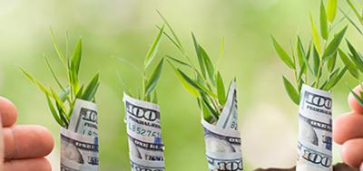 dollar growth
