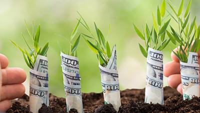 dollar growth